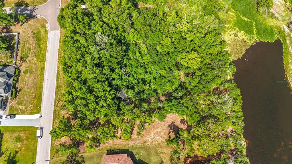 An aerial view shows a wooded vacant lot situated between a residential street and water — LOT 19  LAKE HILLS DR., RIVERVIEW, FL
