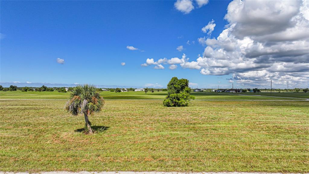 A wide, grassy vacant lot features a single palm tree and a small bush — 5 WILLOW ROAD, PLACIDA, FL