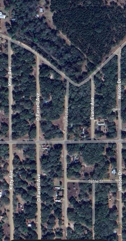This is an aerial map view of a residential area with several intersecting streets — LOT 3 NEISMAN AVENUE, INTERLACHEN, FL