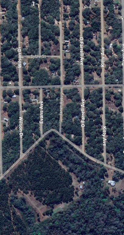 This is an aerial map view of a wooded residential area with several intersecting streets — LOT 3 NEISMAN AVENUE, INTERLACHEN, FL