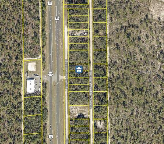 This is an aerial map view showing a vacant lot highlighted among surrounding wooded parcels — LOT 14 NECKLACE WARBLER, WEEKI WACHEE, FL