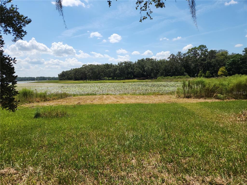 A grassy yard overlooks a lake covered in lily pads with a treeline in the distance — Lot 53 SW SHOREWOOD DRIVE, DUNNELLON, FL