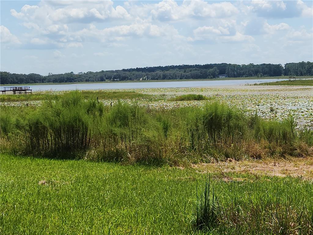 A grassy field leads to a lake covered in lily pads with a wooden dock — Lot 53 SW SHOREWOOD DRIVE, DUNNELLON, FL