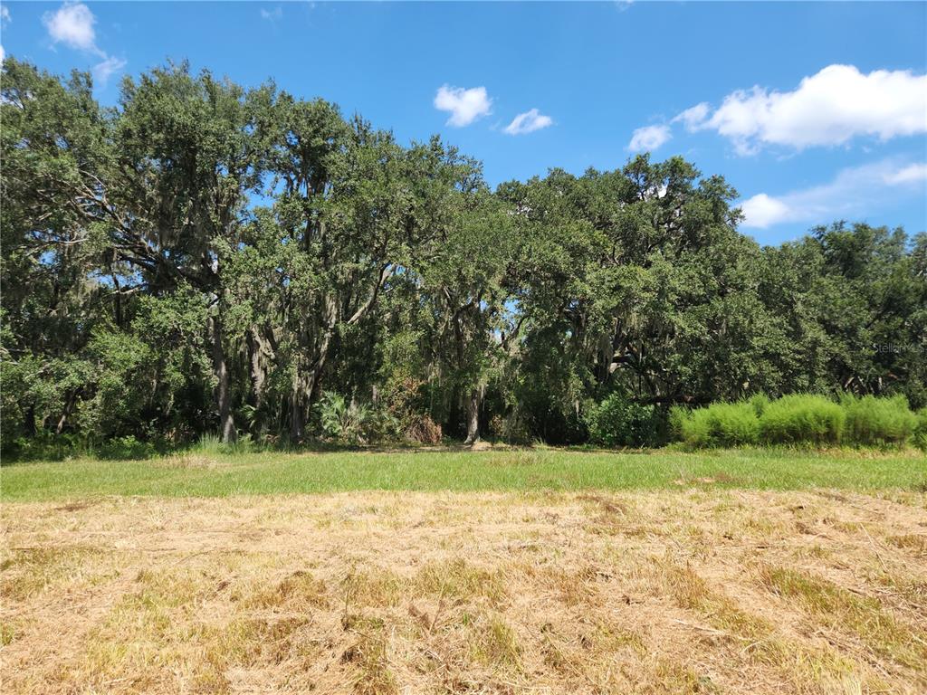 A grassy, cleared lot sits in front of a dense line of mature oak trees — Lot 53 SW SHOREWOOD DRIVE, DUNNELLON, FL