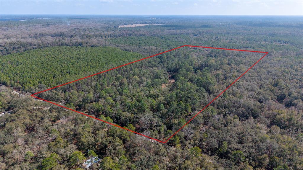 An aerial view shows a large, rectangular plot of forested land outlined in red — TBD NE 25TH AVENUE, BRANFORD, FL
