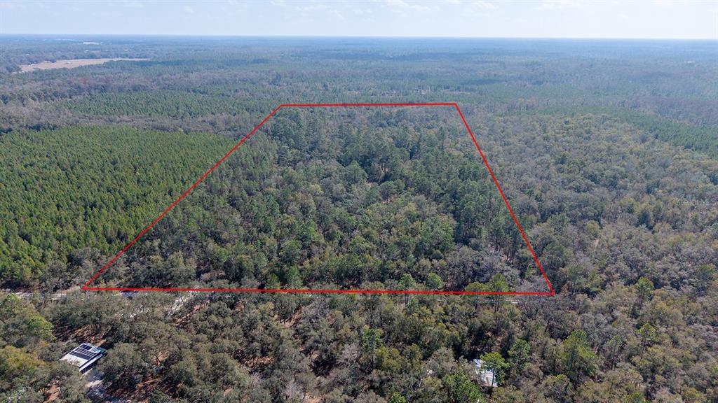 An aerial view shows a wooded plot of land outlined in red — TBD NE 25TH AVENUE, BRANFORD, FL