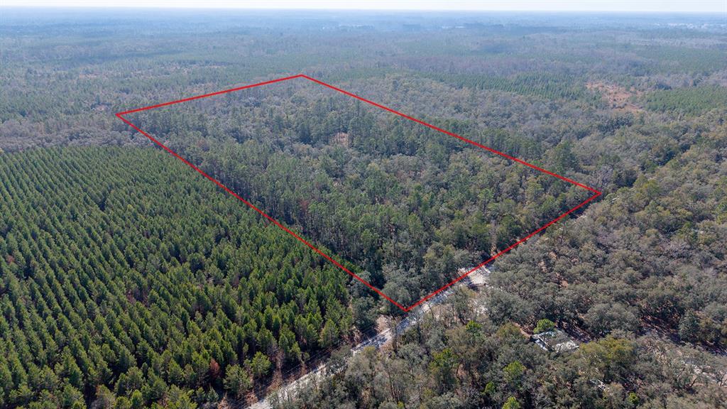 An aerial view shows a rectangular plot of forested land outlined in red — TBD NE 25TH AVENUE, BRANFORD, FL