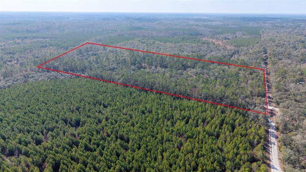 An aerial view shows a rectangular plot of forested land outlined in red beside a road — TBD NE 25TH AVENUE, BRANFORD, FL