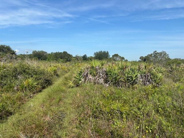 A grassy trail winds through a Florida landscape filled with saw palmetto and scrub brush — 0 NW 306th Street, Okeechobee FL 34972, OKEECHOBEE, FL
