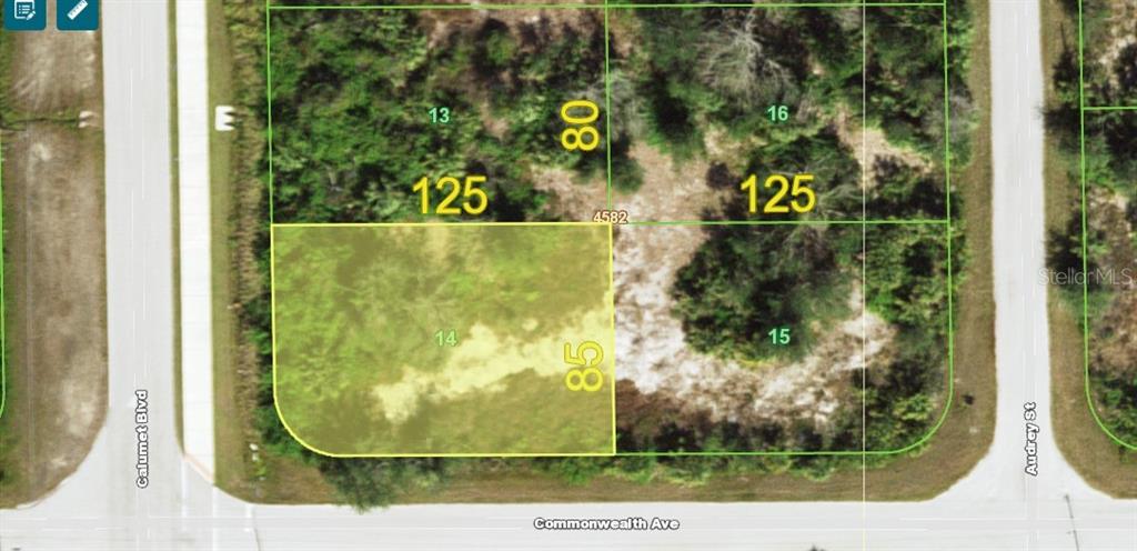 This is a satellite map view showing a highlighted vacant residential lot at a street corner — 13534 COMMONWEALTH AVE./10030 CALUMET BLVD., PORT CHARLOTTE, FL