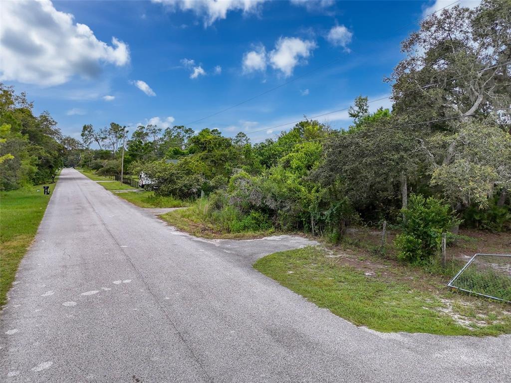 A paved road runs alongside a wooded, undeveloped residential lot under a blue sky — TINLEY LOTS 71, 72, & 73, NEW PORT RICHEY, FL