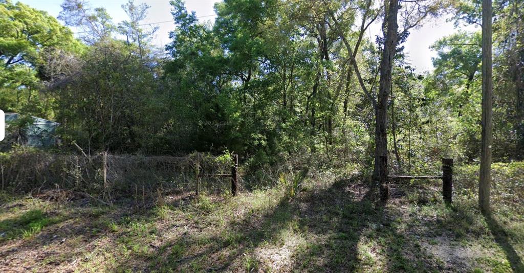 A wooded, undeveloped lot features a wire fence and several trees under a bright sky — OOO SE 923RD STREET, OLD TOWN, FL