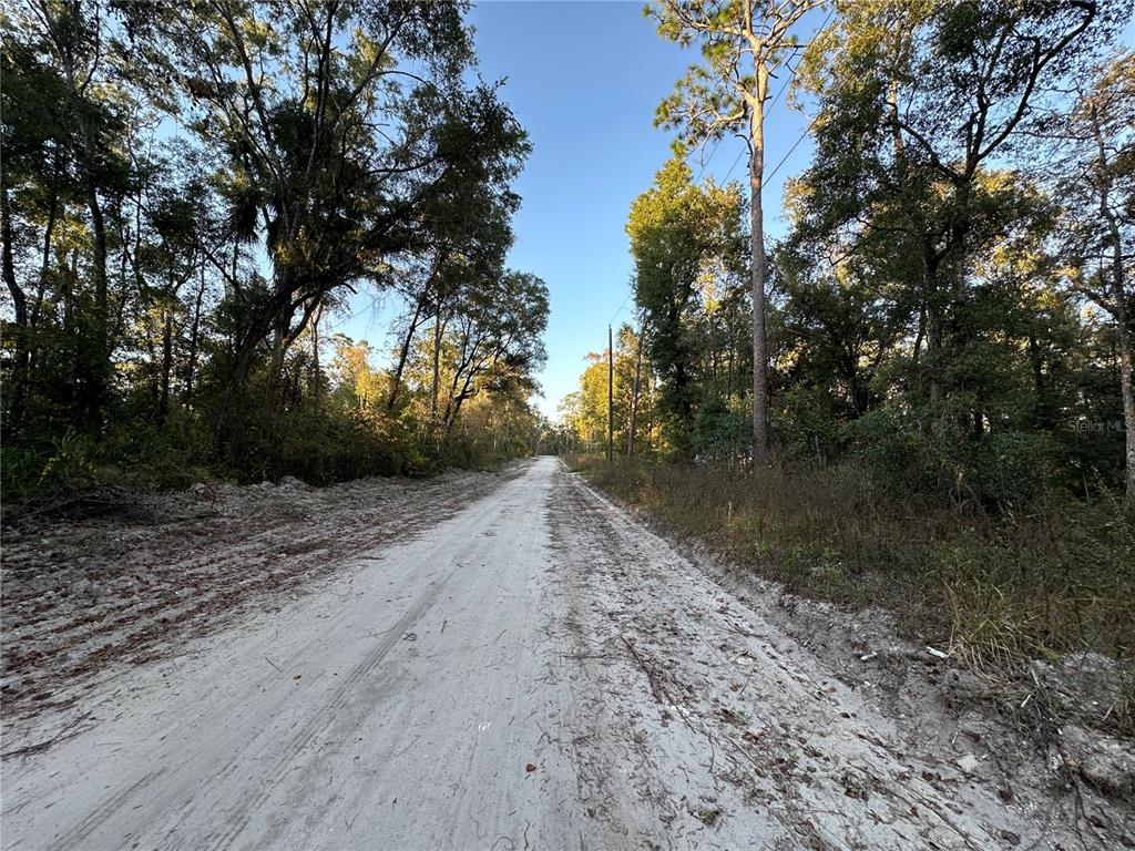 A sandy, unpaved road stretches forward between dense trees under a clear blue sky — OOO SE 923RD STREET, OLD TOWN, FL