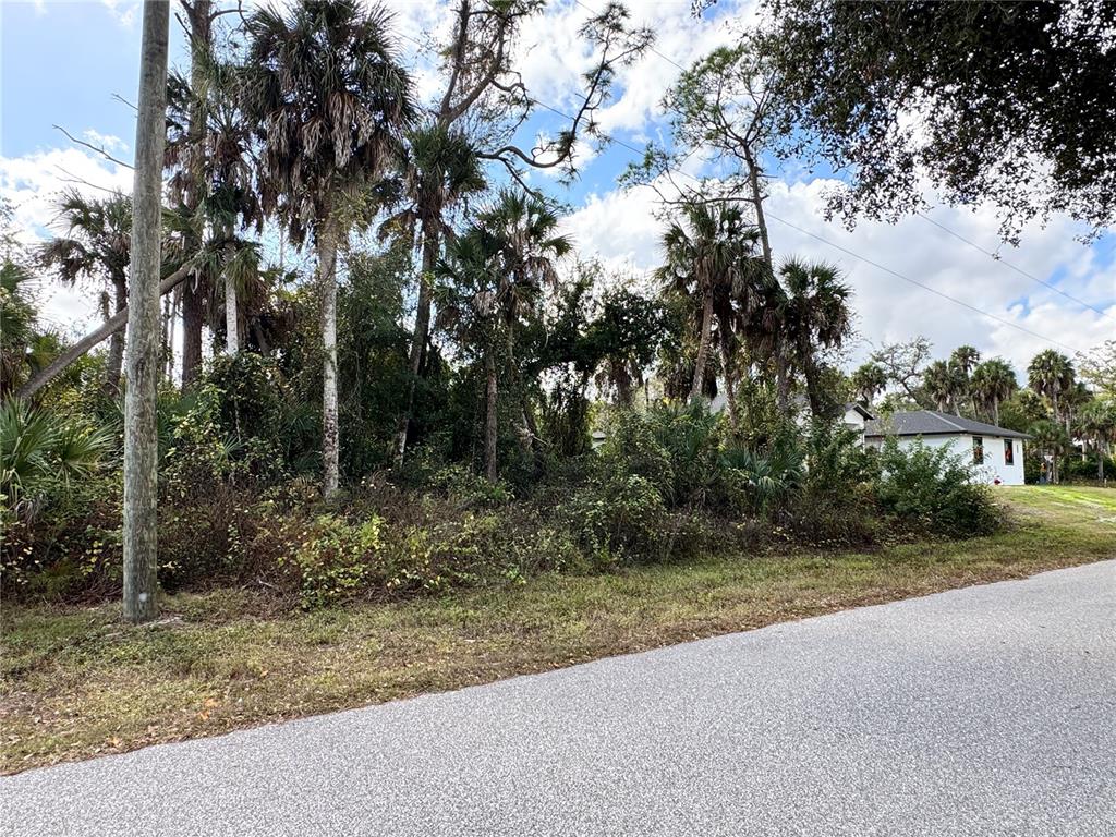 A vacant, wooded lot with palm trees sits next to a white house — 17081 FALLKIRK AVENUE, PORT CHARLOTTE, FL