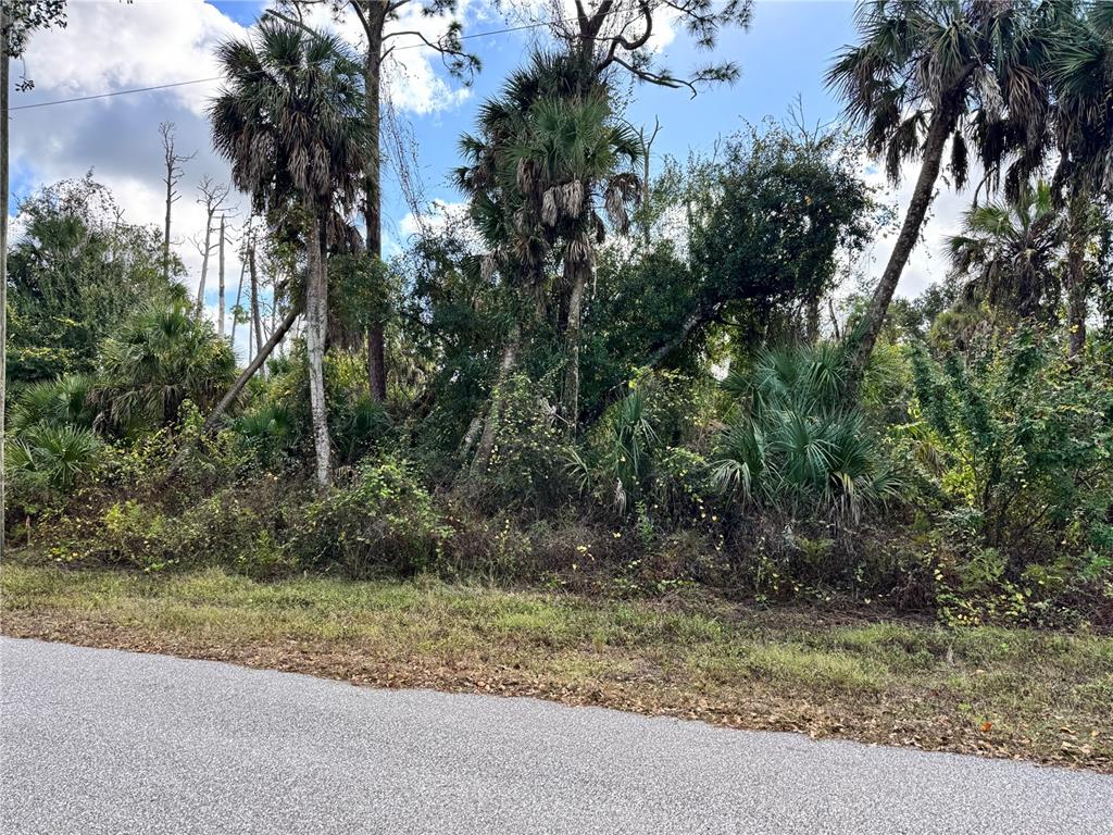 A view of a densely wooded, undeveloped lot bordering a paved asphalt road — 17081 FALLKIRK AVENUE, PORT CHARLOTTE, FL