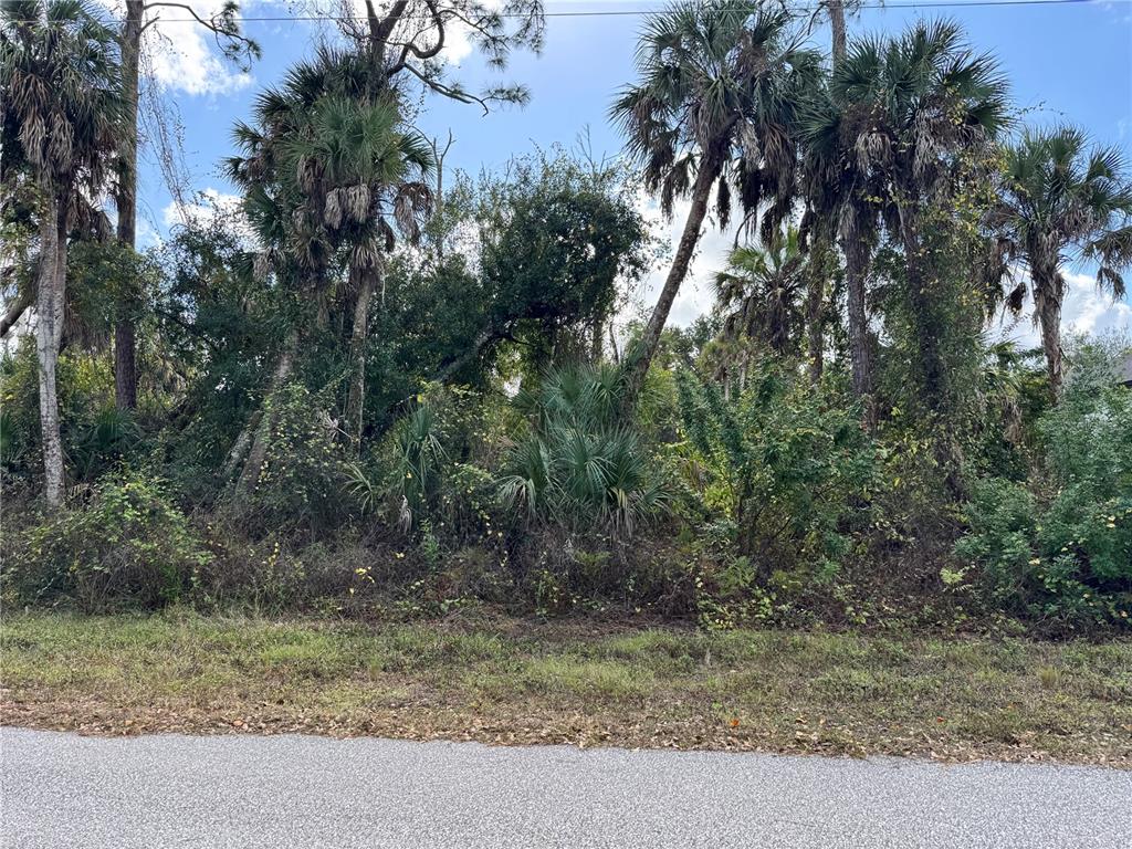 A view of a densely wooded, undeveloped residential lot from the edge of a road — 17081 FALLKIRK AVENUE, PORT CHARLOTTE, FL