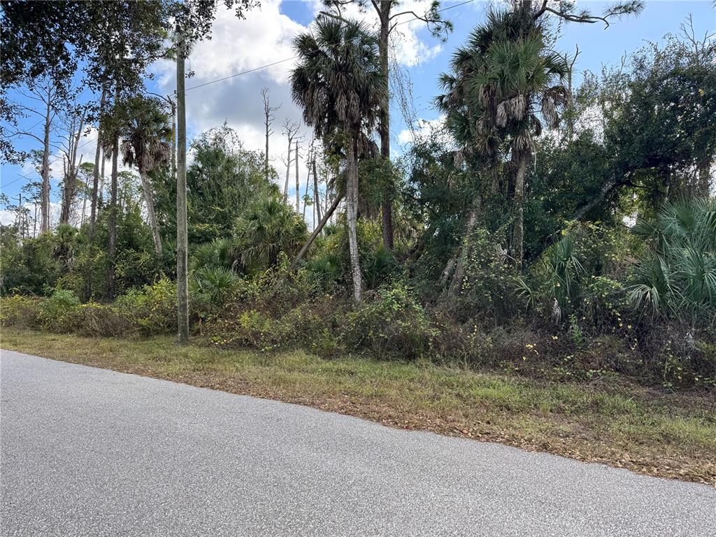 A paved road runs alongside a wooded lot filled with palm trees and dense vegetation — 17081 FALLKIRK AVENUE, PORT CHARLOTTE, FL