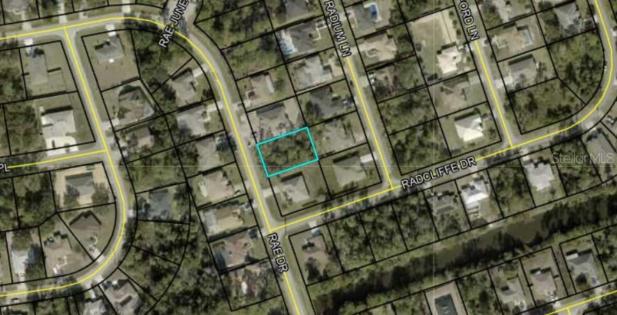 This is an aerial map showing a vacant residential lot outlined in blue — 107 RAE DRIVE, PALM COAST, FL