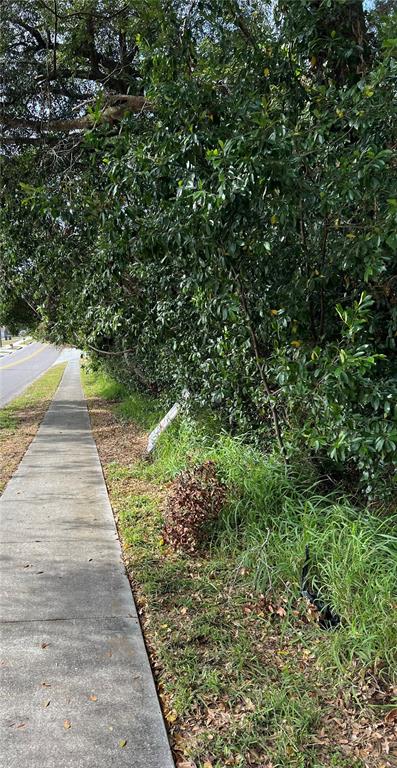 A concrete sidewalk runs alongside a road bordered by dense trees and overgrown vegetation — 875 OCOEE APOPKA ROAD, APOPKA, FL