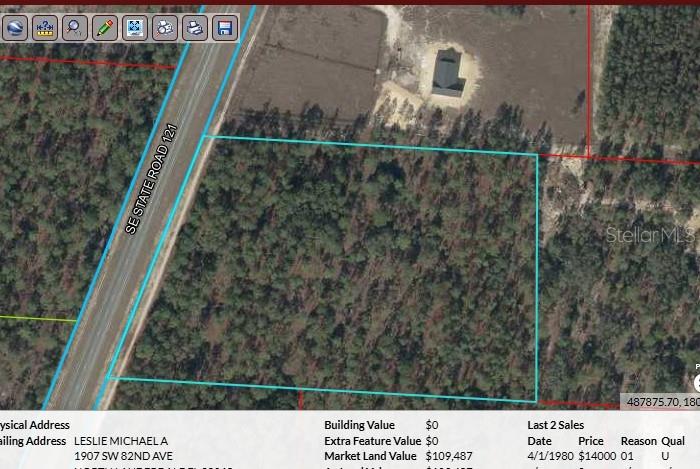 This is an aerial map showing a rectangular, wooded parcel of land bordering a highway — SE STATE ROAD 121, MORRISTON, FL