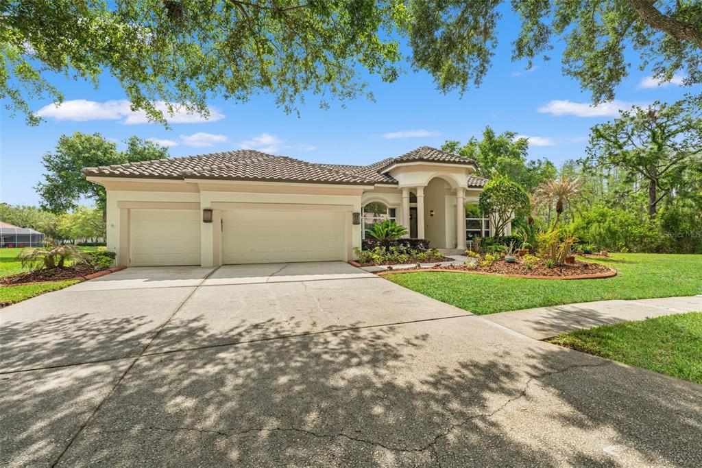 A single-story house with a three-car garage, arched entryway, and a concrete driveway — 17905 ARBOR GREENE DRIVE, TAMPA, FL