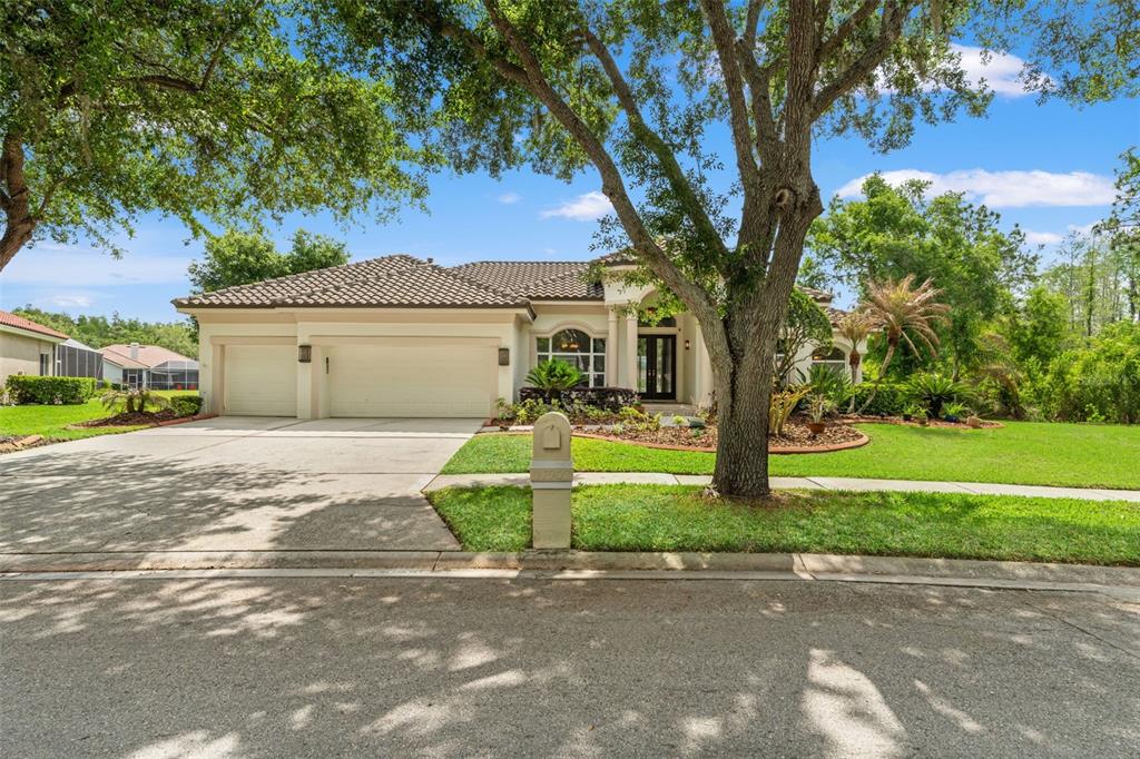 A single-story house with a tile roof, three-car garage, and a large tree in front — 17905 ARBOR GREENE DRIVE, TAMPA, FL
