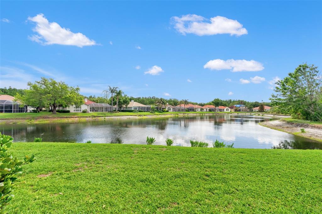 A grassy lawn overlooks a pond with residential houses in the background under a blue sky — 17905 ARBOR GREENE DRIVE, TAMPA, FL