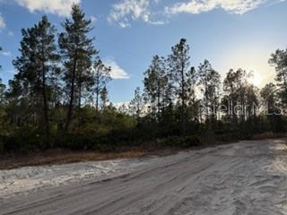 880 STILL ROAD, PIERSON, FL — photo 2 of 7