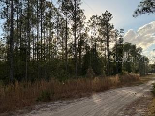 880 STILL ROAD, PIERSON, FL — photo 3 of 7
