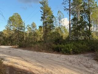 880 STILL ROAD, PIERSON, FL — photo 4 of 7