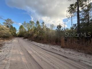880 STILL ROAD, PIERSON, FL — photo 5 of 7