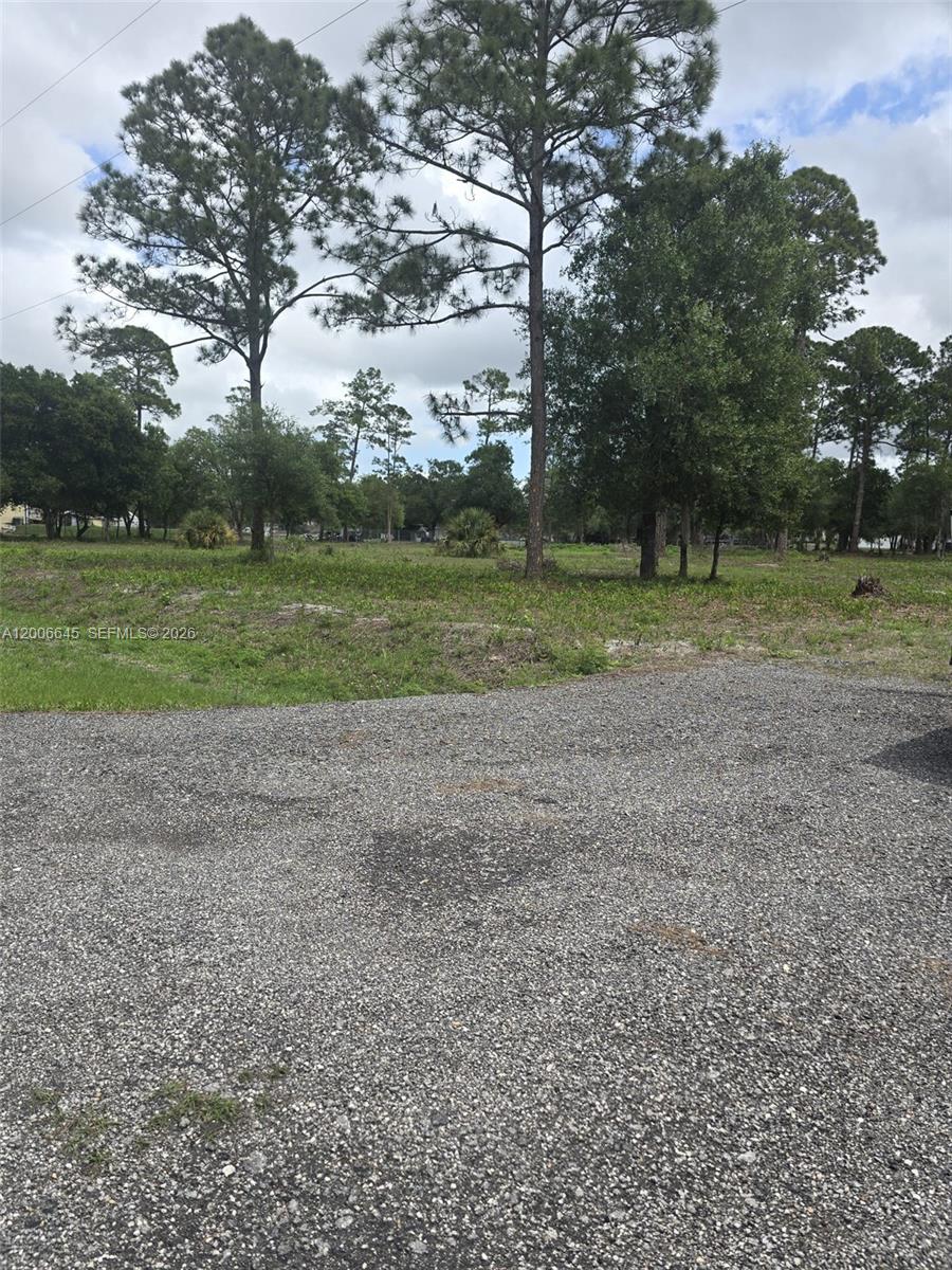 A gravel driveway leads to a large, grassy, undeveloped lot with scattered trees — 165 S Olivo St, Clewiston FL 33440, CLEWISTON, FL
