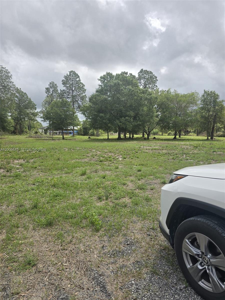 A white vehicle is parked in the foreground of a grassy, tree-lined vacant lot — 165 S Olivo St, Clewiston FL 33440, CLEWISTON, FL