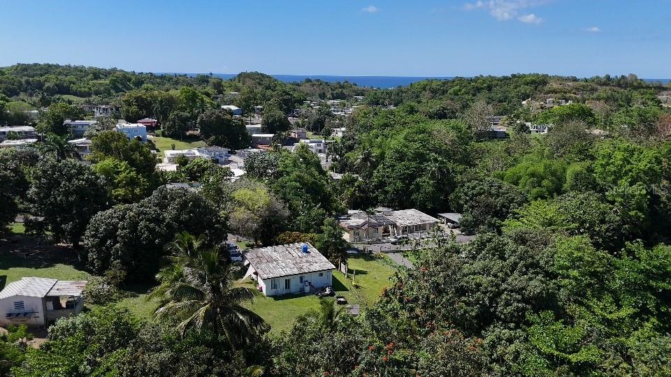 An aerial view shows houses nestled among lush green trees with the ocean in distance — CaracolSol SECTOR JUAN MUÑIZ, AGUADA, PR