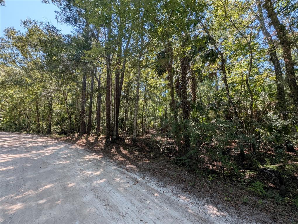 6252 E RIVER ROAD, HERNANDO, FL — photo 2 of 8