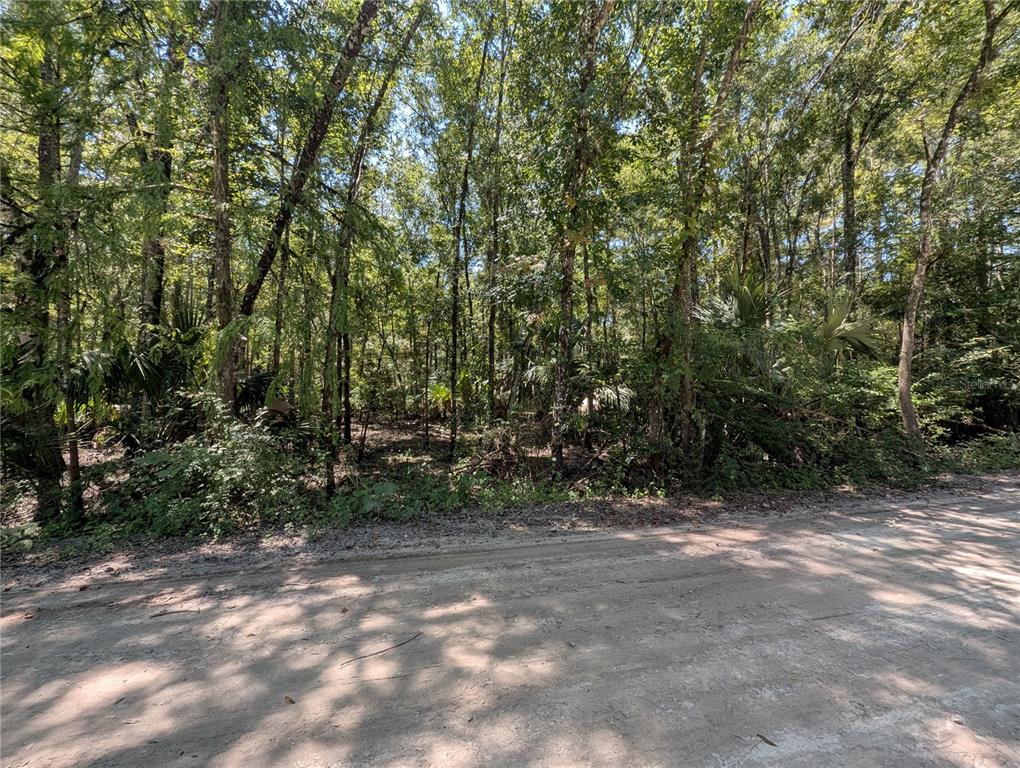 6252 E RIVER ROAD, HERNANDO, FL — photo 3 of 8