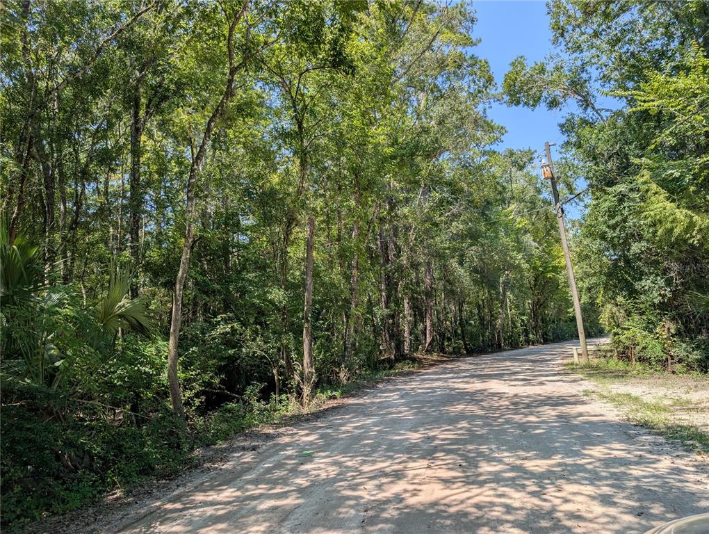 6252 E RIVER ROAD, HERNANDO, FL — photo 4 of 8