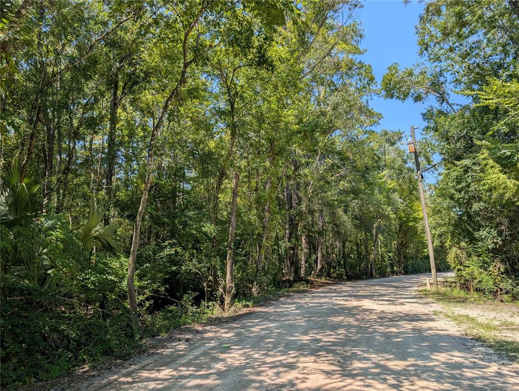 6252 E RIVER ROAD, HERNANDO, FL — photo 5 of 8