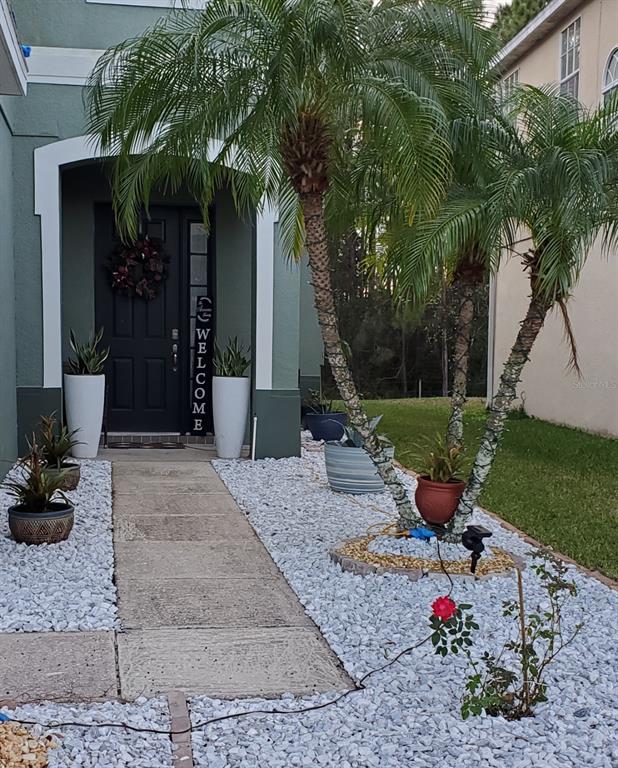 A front entryway features a dark door, white planters, and a palm tree in gravel — 14697 HUNTCLIFF PARK WAY, ORLANDO, FL