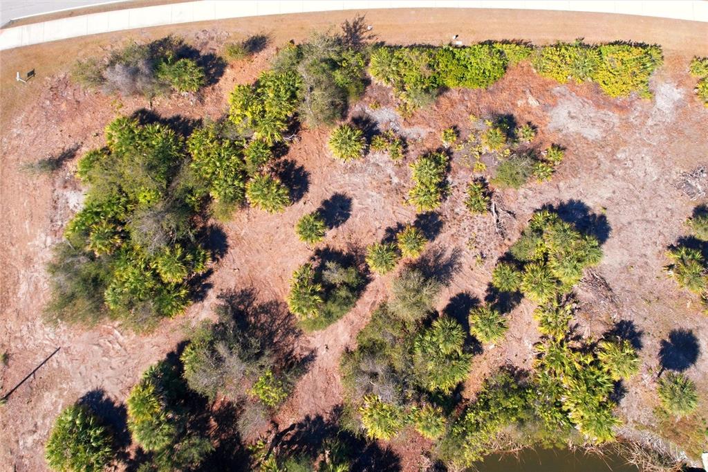 An aerial view shows a vacant, partially cleared lot with scattered palm trees and vegetation — 9882 CALUMET BOULEVARD, PORT CHARLOTTE, FL