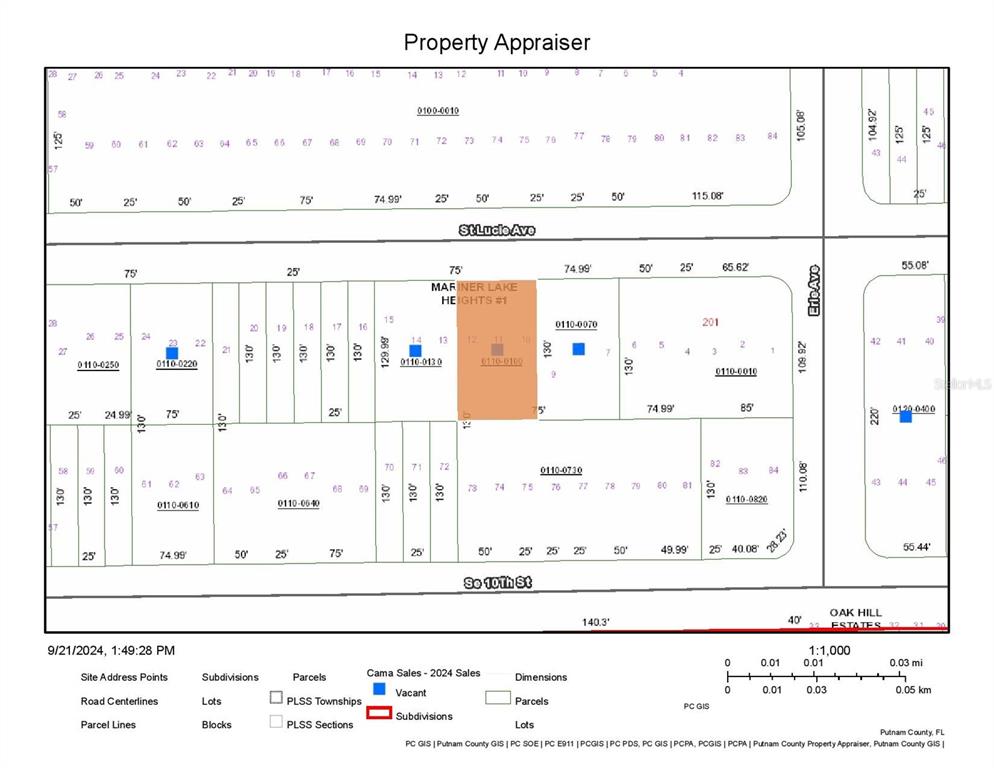 This is a property appraiser map showing parcel boundaries and lot dimensions in a subdivision — 119-123 SAINT LUCIE AVENUE, INTERLACHEN, FL