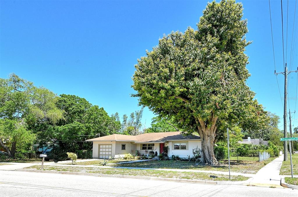 1504 COCOANUT AVENUE, SARASOTA, FL — photo 4 of 14