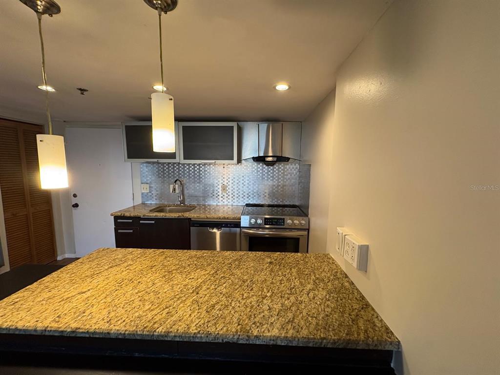 A kitchen features granite countertops, dark cabinets, stainless steel appliances, and a metal backsplash — 701 S MADISON AVENUE UNIT 309, CLEARWATER, FL