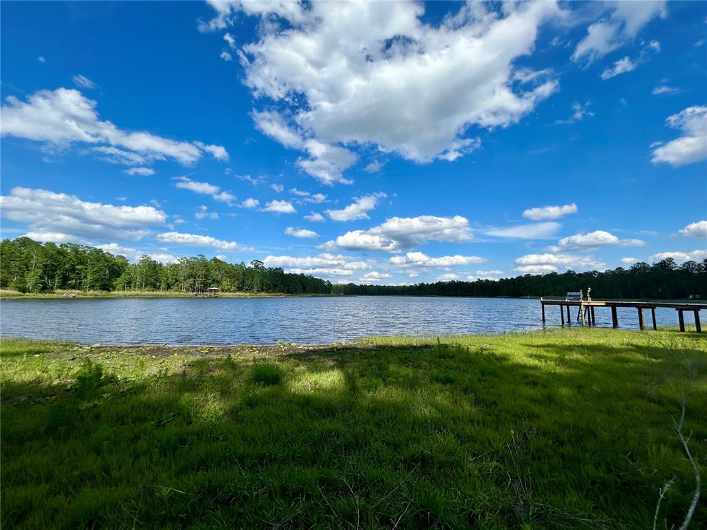 A grassy shoreline leads to a lake with a wooden dock under a blue sky — 4819 NE 211TH DRIVE, EARLETON, FL