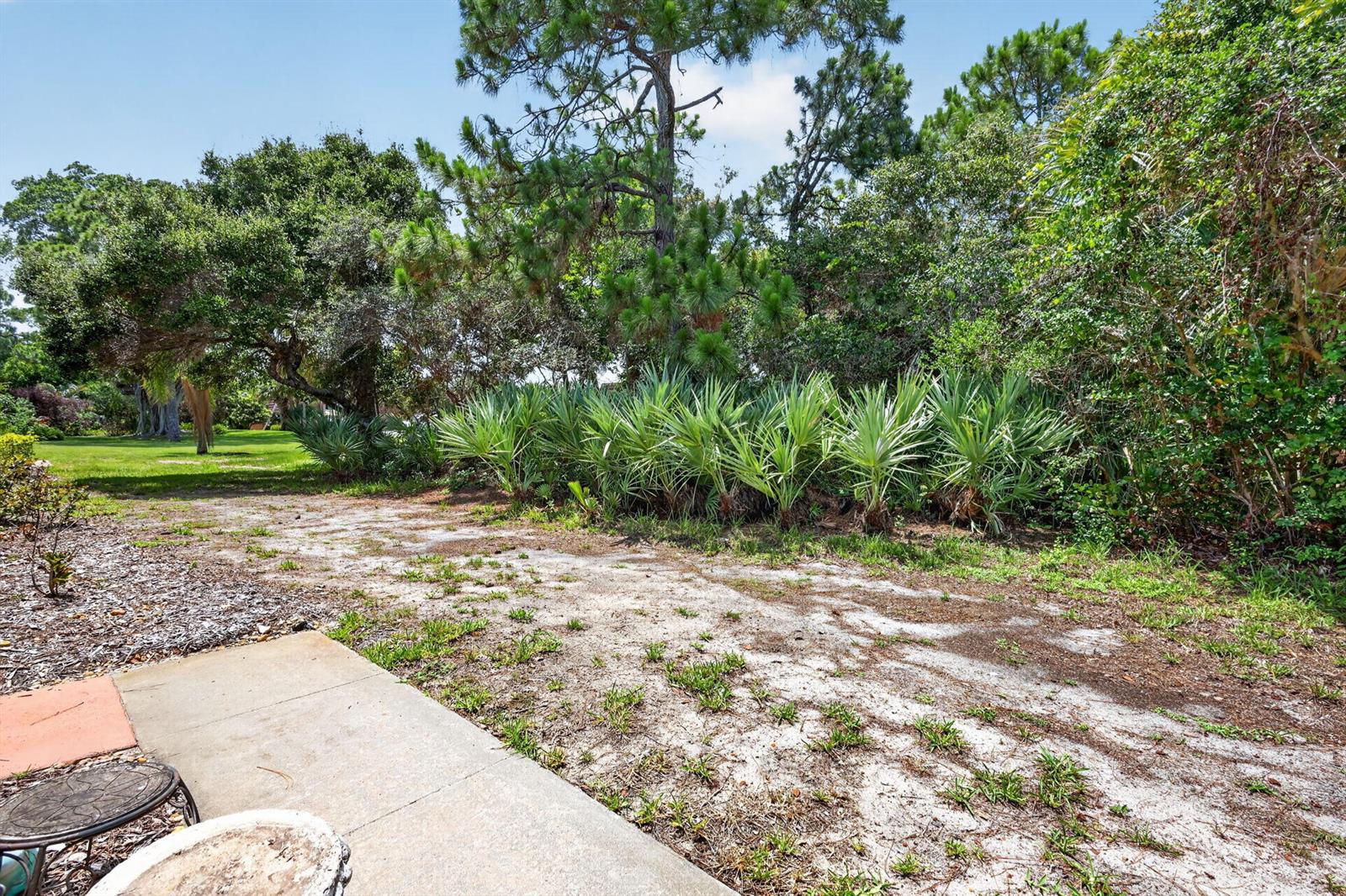 A concrete patio overlooks a sandy yard with saw palmetto bushes and mature trees — 5706 SE Riverboat Drive # 202, Stuart FL 34997, STUART, FL
