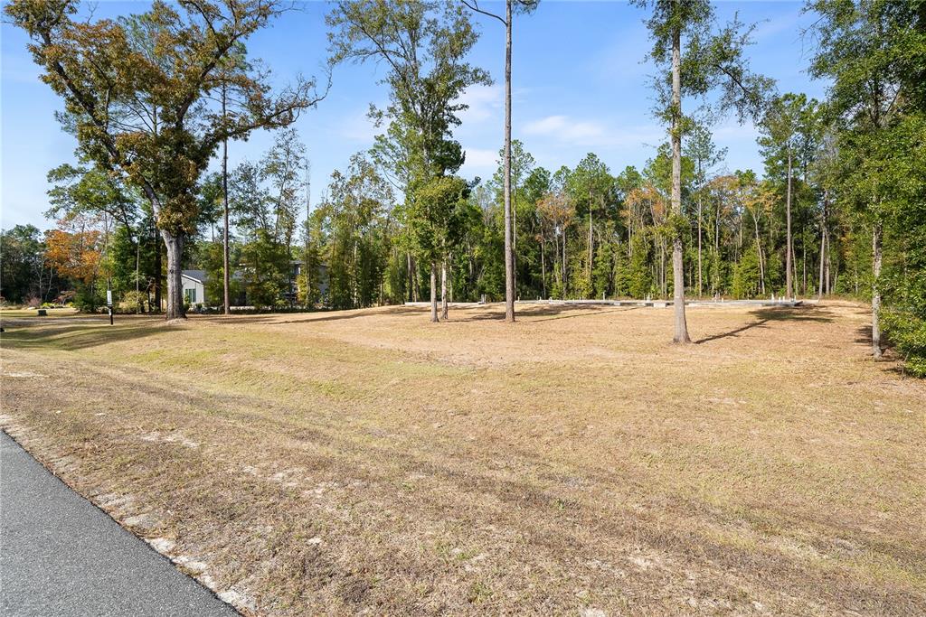 A vacant, grassy lot features a concrete foundation slab surrounded by tall pine trees — 12364 SW 16TH LANE, NEWBERRY, FL