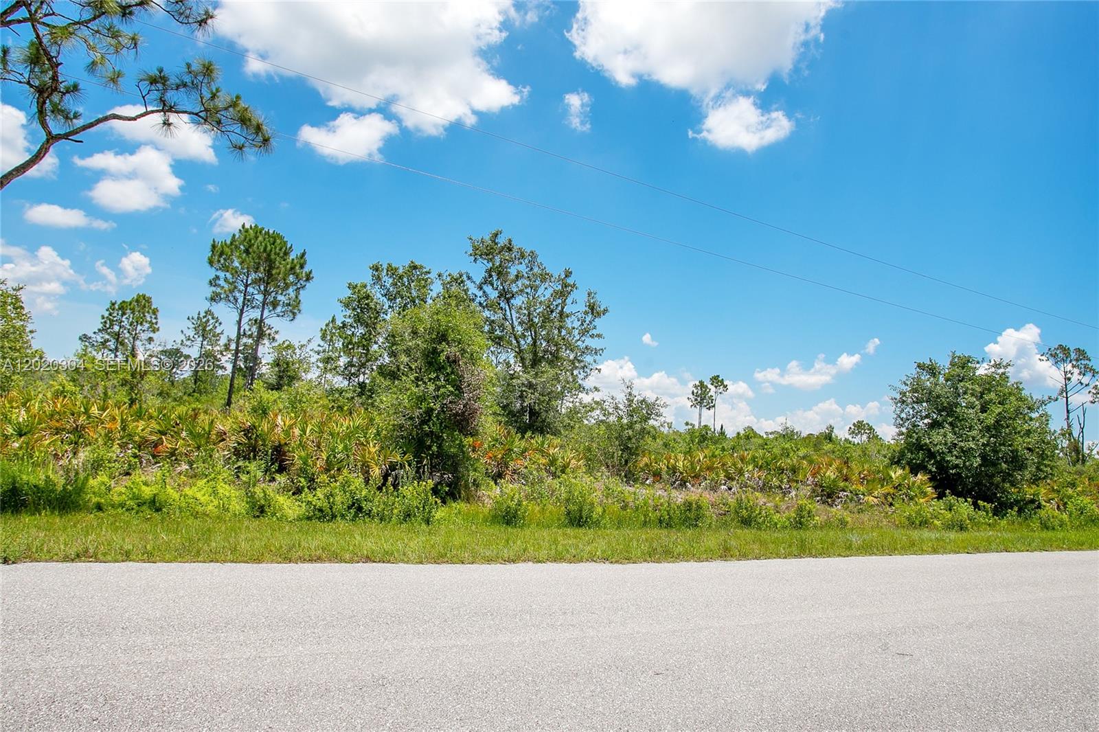 A paved road runs in front of a vacant, wooded lot under a blue sky — 4000 Gerona, Sebring FL 33872, SEBRING, FL