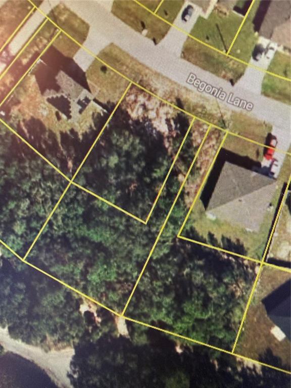 This aerial map shows a vacant, wooded residential lot located along a paved street — 244 BEGONIA LANE, KISSIMMEE, FL
