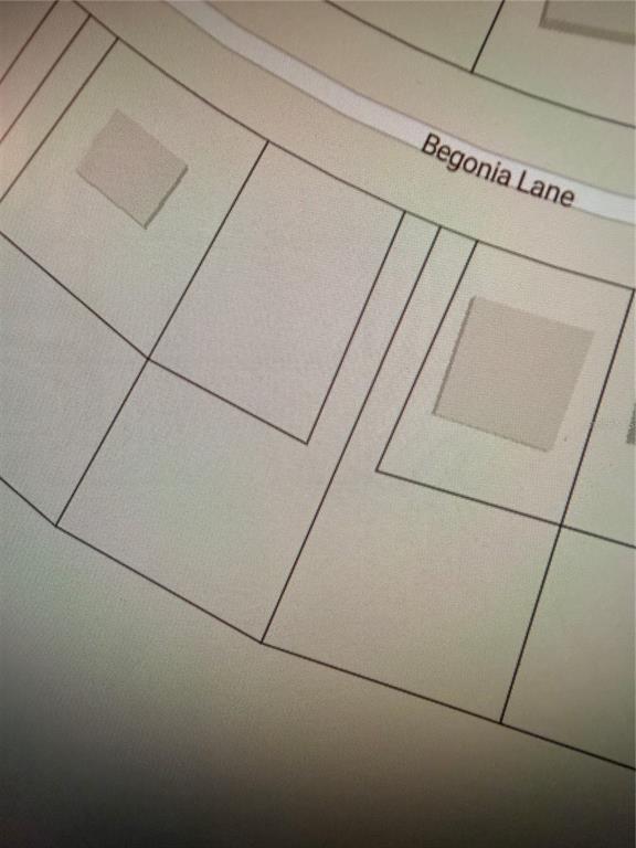 This is a map showing property lot lines and building footprints along Begonia Lane — 244 BEGONIA LANE, KISSIMMEE, FL