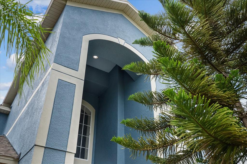 A blue stucco house exterior features a tall arched entryway and a large evergreen tree — 2841 TRINITY COTTAGE DRIVE, LAND O LAKES, FL